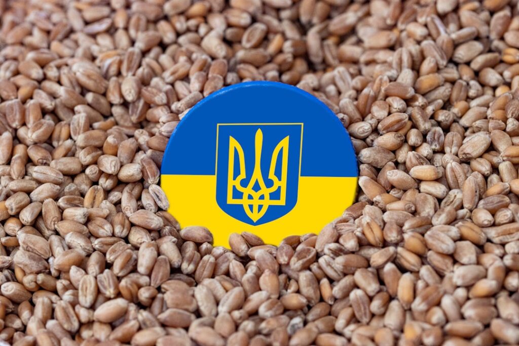 Експорт українського зерна та аграрного сектору