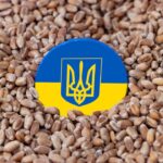Експорт українського зерна та аграрного сектору